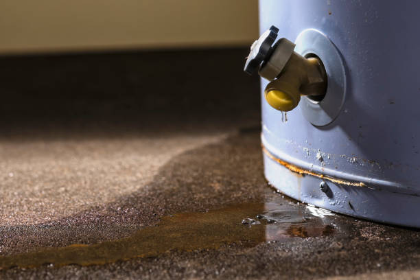 Best Flood restoration services  in Park Hills, MO
