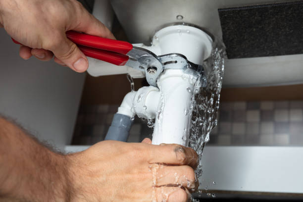 Best Flooded house restoration  in Park Hills, MO