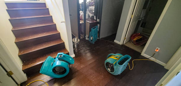 Best Local water damage restoration  in Park Hills, MO