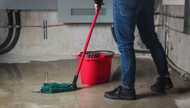 Best Mold removal after water damage  in Park Hills, MO