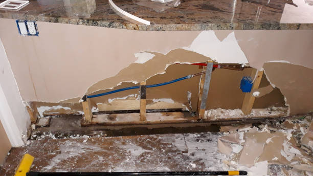 Best Water damage contractors near me  in Park Hills, MO