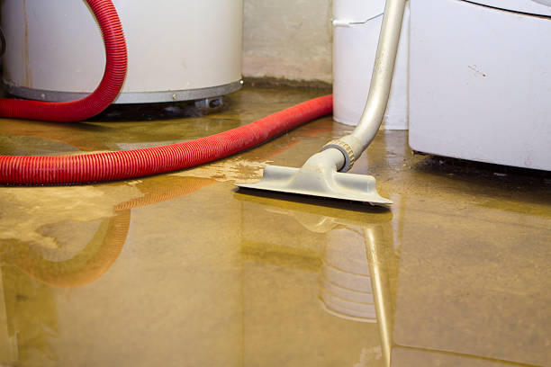 Sewage cleanup and water damage restoration in Park Hills, MO