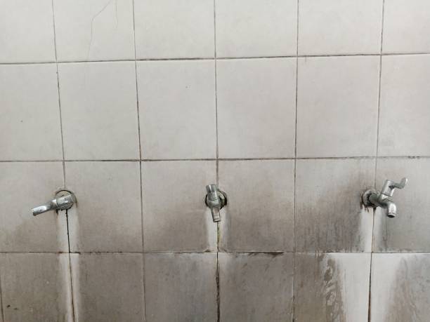 Best Professional water damage repair  in Park Hills, MO