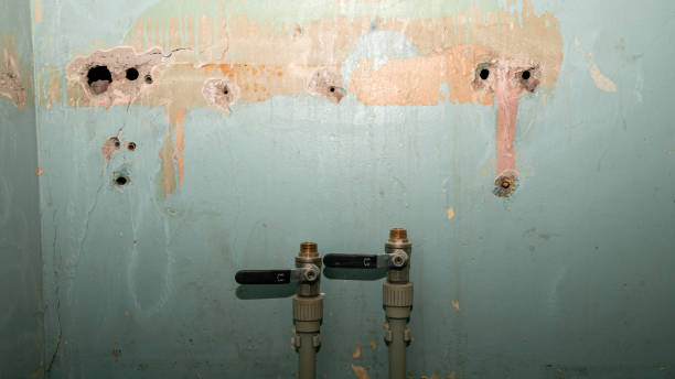 Best Flooded house restoration  in Park Hills, MO